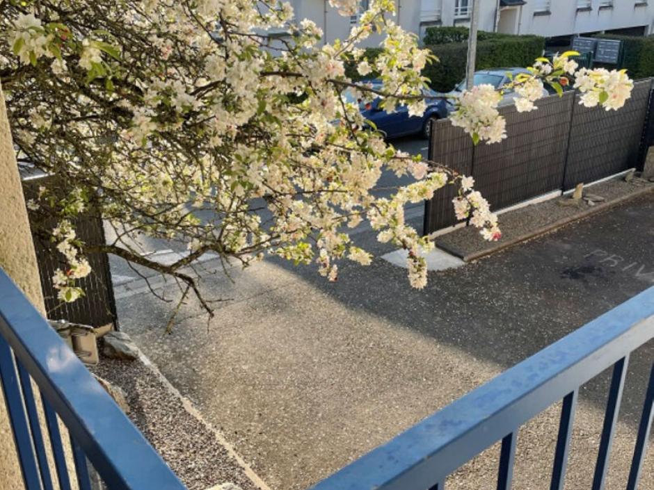 Ac3- location appartement 
cesson sevigne
 1762475846