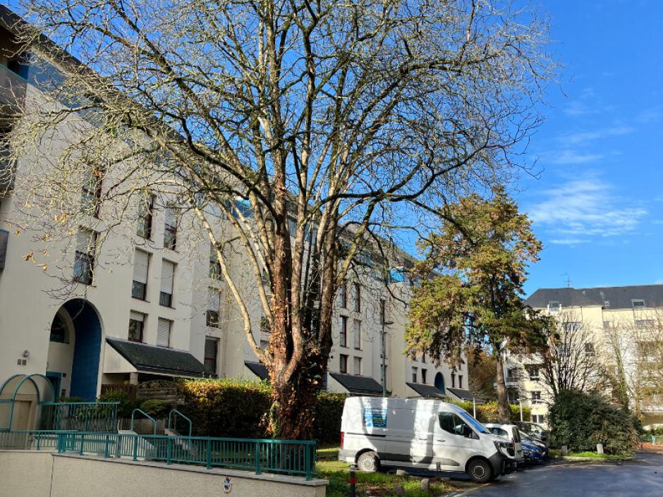 Ac3- location appartement 
rennes
 1764723378