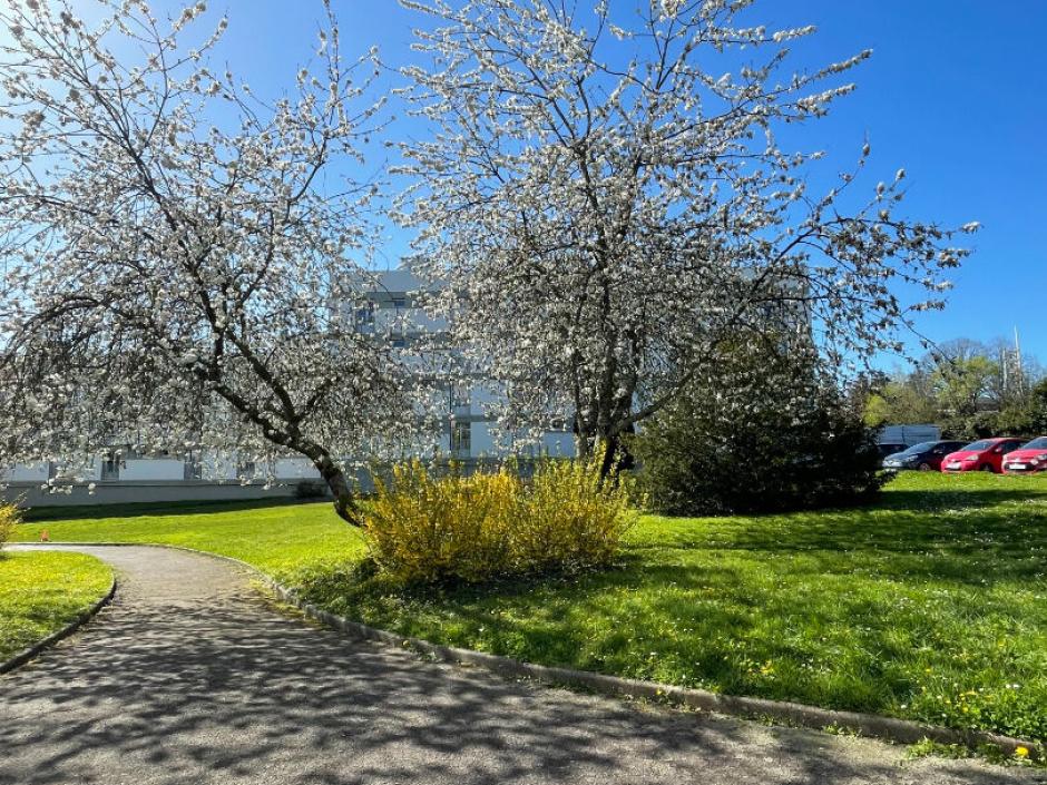 Ac3- location appartement 
rennes
 1777679909