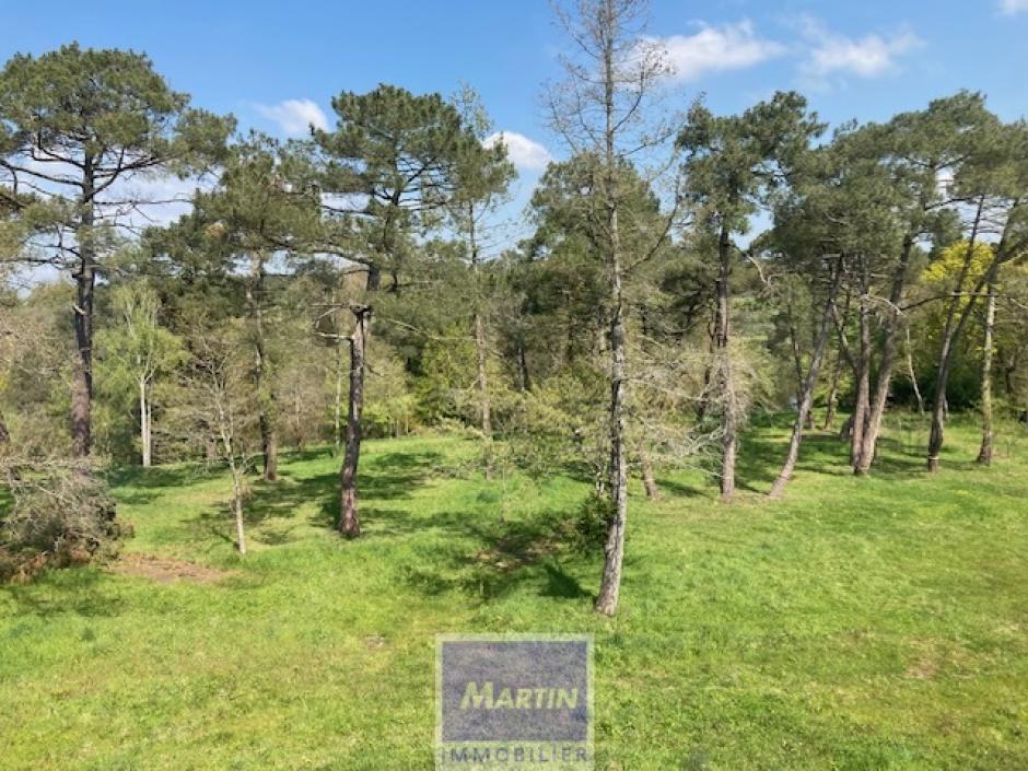 Vente appartement saint-thurial