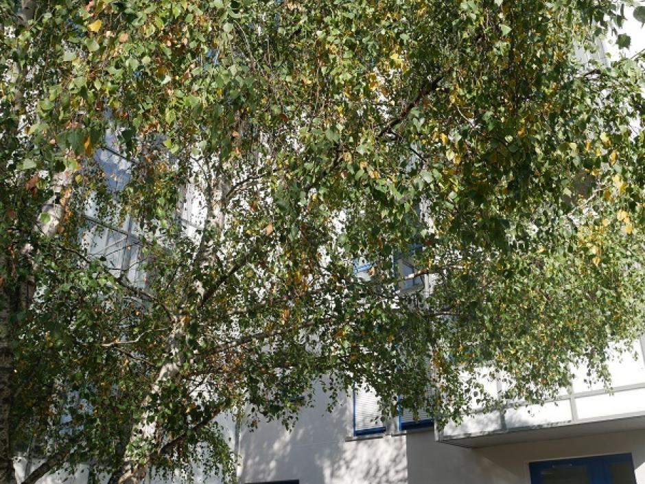 Location appartement rennes