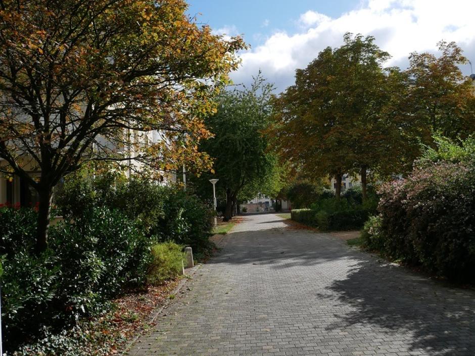 Ac3- location appartement rennes 1742346701