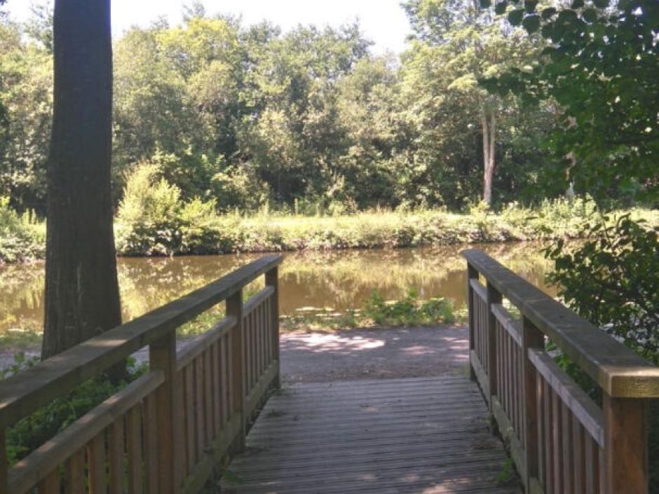 Ac3- location appartement 
rennes
 1761958213