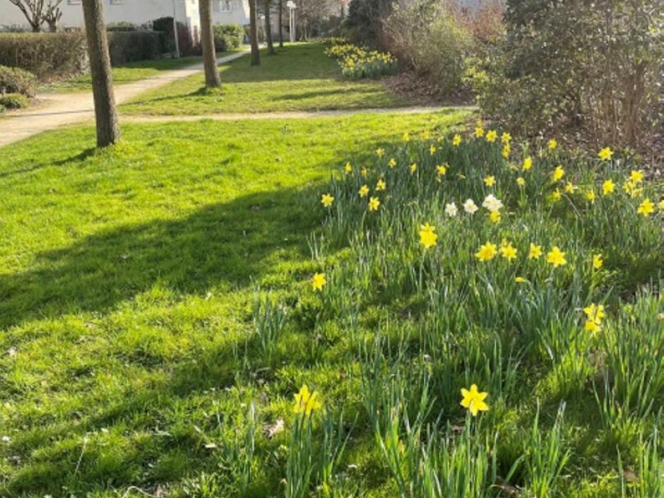 Ac3- location appartement 
rennes
 1763167729