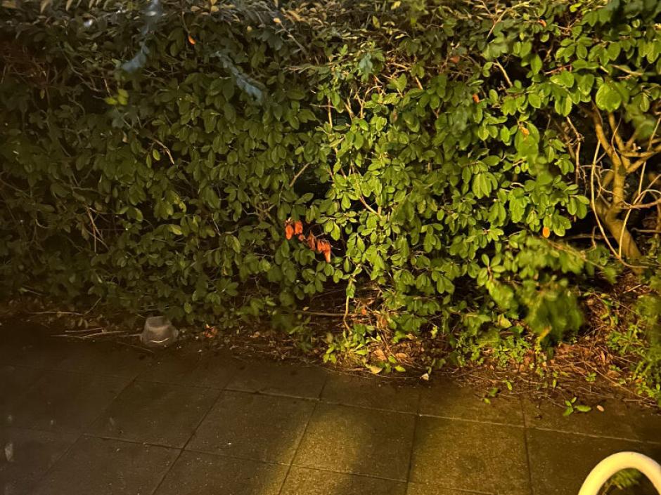 Ac3- vente appartement 
rennes
 1773880443